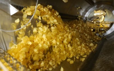 Il colore di frittura nella patata da industria
