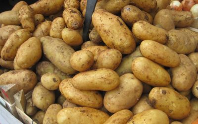 Gli aspetti nutrizionali della patata