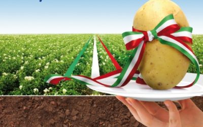 La patata in Italia