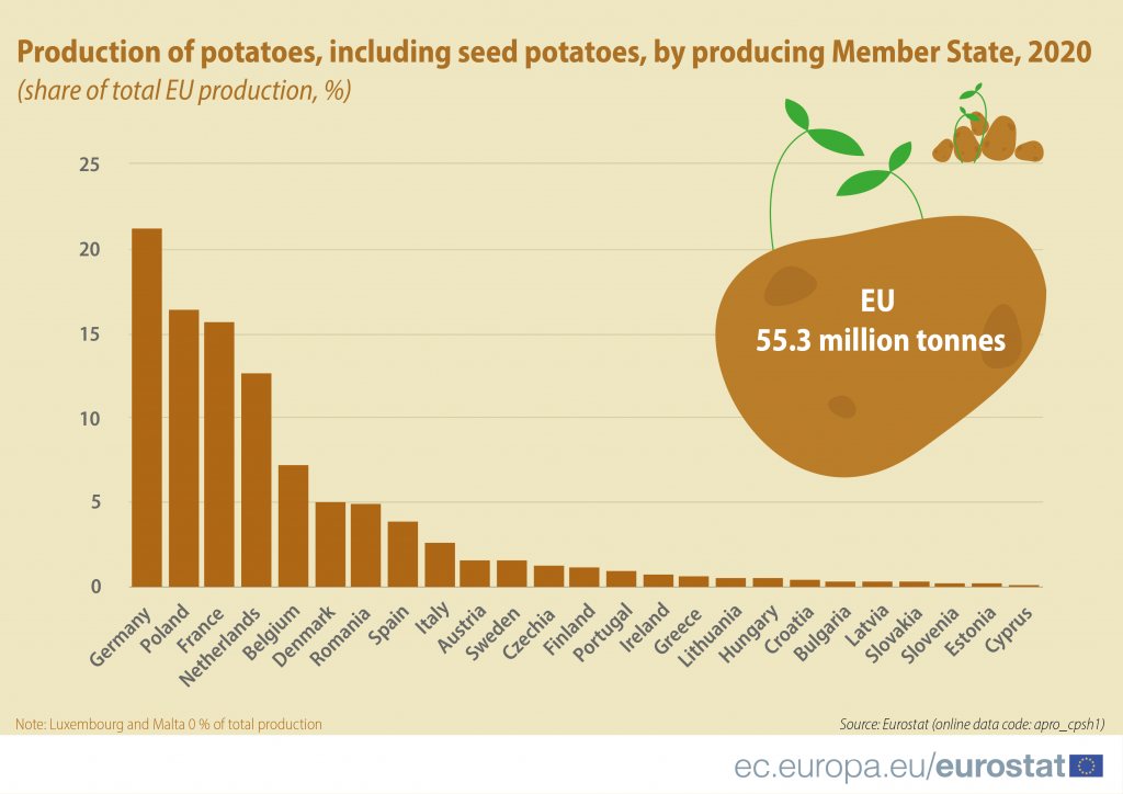 potato production_Tavola disegno 1