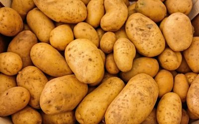 Mercato patate e guerra in Ucraina, Citterio: “Quattro possibili scenari”